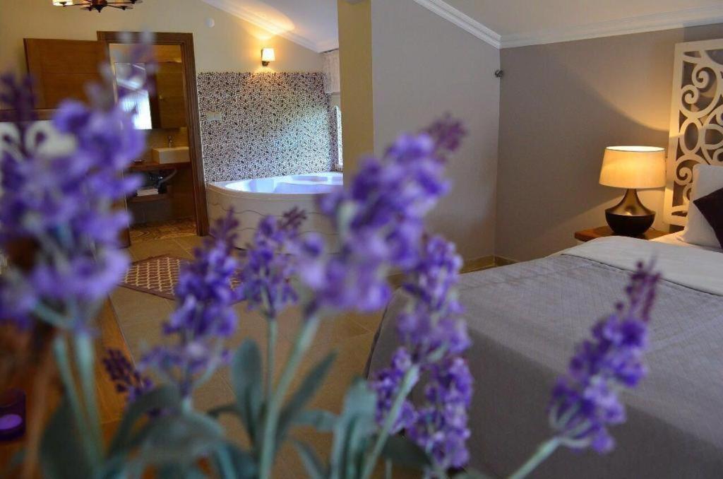 Agva Sweet Home River Hotel Luaran gambar